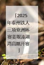 2025年泰州铁人三项亚洲杯赛姜堰溱湖湾高燃开赛